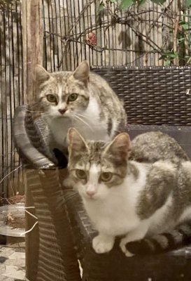 Alex et Lucie, toujours aussi morts de faim