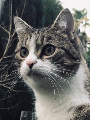 Nickie est très éveillée