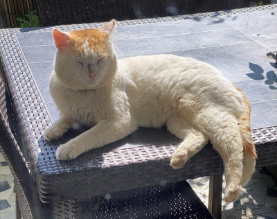 Jérôme au premier soleil du matin