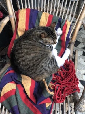 Mitsu aime les tissus colorés