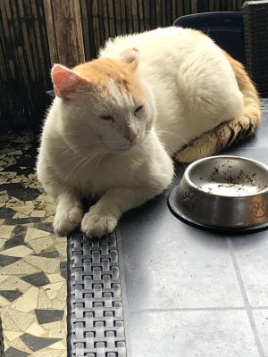 Jerôme aime cette table