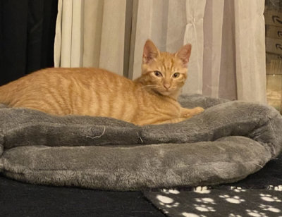 Denis sur son bon coussin