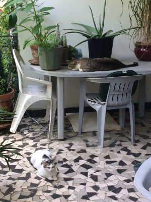Les parents de Nickie : Blanche et Emile