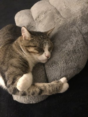 Nickie et l’art de l’oreiller