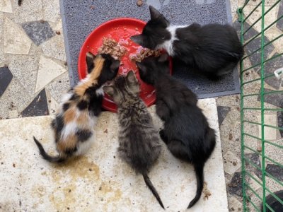 Bon apptit !
