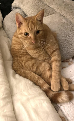 Vous savez quoi ? C’est moi le plus beau !