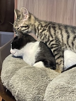 Gaspouminou et Sacha (ray)
