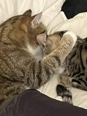 Nickie a adopté Sacha