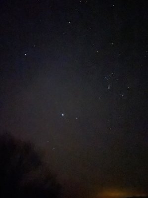Procyon. Betelgeuse. Orion. Rigel  Sirius