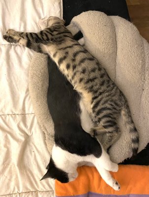 Gaspouminou et Sacha ont decouvert le 69 !