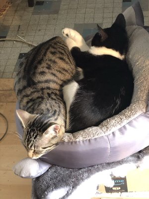 Sacha et Gaspouminou