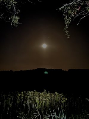 Au SE  23h la Lune et Jupiter