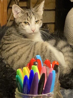Marco se demande ce quil pourrait faire de ces crayons