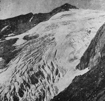 Les crevasses du glacier dOssoue en 1948