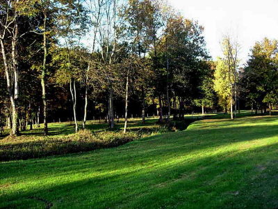 Dans le parc de Lahourcade