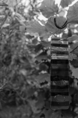 g12/23/481223/3/172848520.v9nHiMlC.jpg