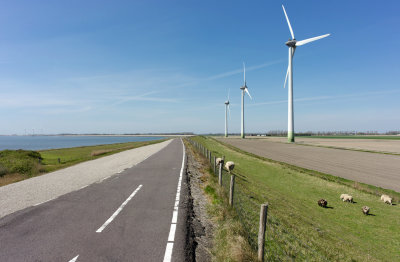 sheep, dyke, water&windmill