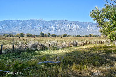 Mt Whitney area Color 10-14-19 (4)_5)_6)_Realistic CC S2 w.jpg