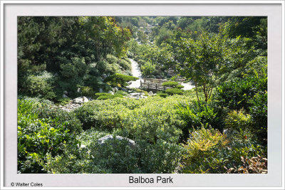 Balboa Park SD 11-14-19 (2) CC S2 Frame w.jpg