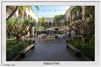 Balboa Park SD 11-14-19 (3) CC S2 Frame w.jpg