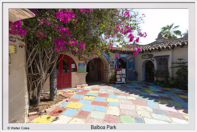 Balboa Park SD 11-14-19 (30) CC S2 w.jpg