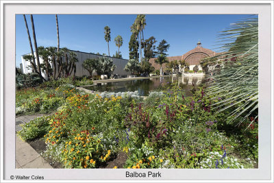 Balboa Park SD 11-14-19 (31) CC S2 Frame w.jpg
