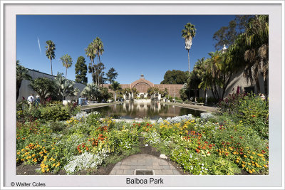 Balboa Park SD 11-14-19 (32) CC S2 Frame w.jpg