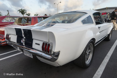 Mustang 1966 GT350 DD 11-18 (3) R CC AI w.jpg