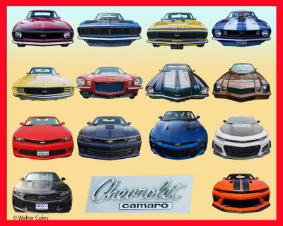 Camaro_Collage_S2_Frame_w.jpg