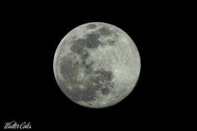 2021 Full Moon 3-27-21 CC S2 w.jpg