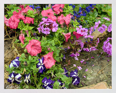 2021 Flowers Backyard HDR 4-16-21 (1)_2)_3)_Fusion-Natural CC S2 w.jpg