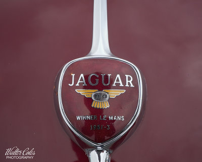 Jaguar 1956 Red DD 5-21 (6) Emblem CC S2 w.jpg