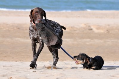 Buddies having fun