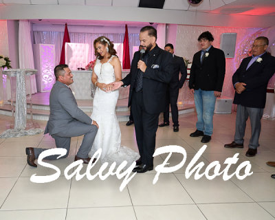 DSC01442.jpg