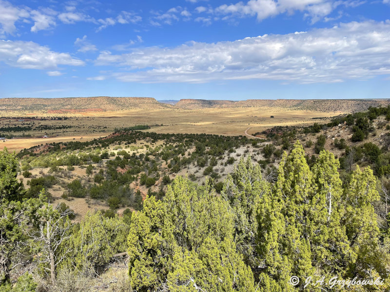 Mesa country, northeast New Mexico