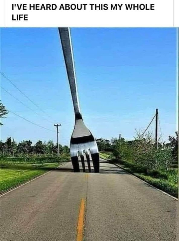 WHEN YOU SEE A FORK IN THE ROAD, TAKE IT!
