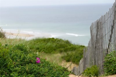 A Relaxing View - Marconi Wireless Station (1).jpg