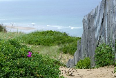 A Relaxing View - Marconi Wireless Station (2).jpg