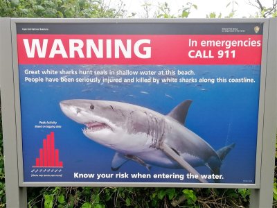Cape Cod Great White Shark Warning Sign.jpg