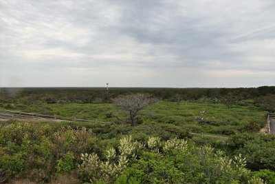 Cape Cod National Seashore from Marconi Wireless Station.jpg