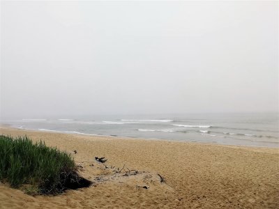 Coast Guard Beach - Eastham.jpg