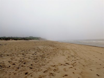Coast Guard Beach Looking North - Eastham.jpg