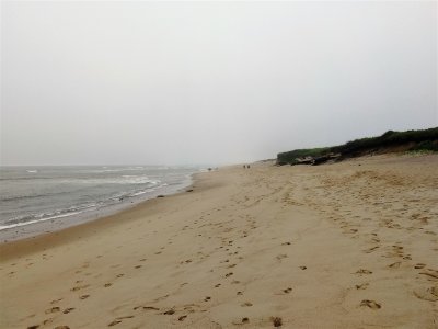 Coast Guard Beach Looking South - Eastham.jpg