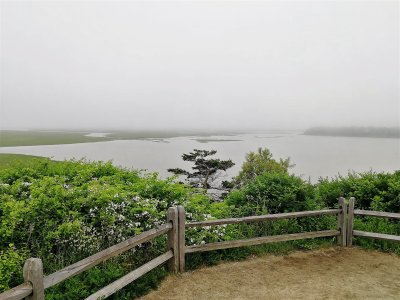 Nauset Bay from Coast Guard Station (1).jpg