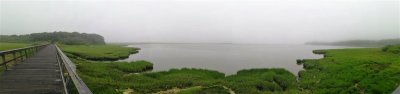 Panorama of Nauset Bay Looking South.jpg