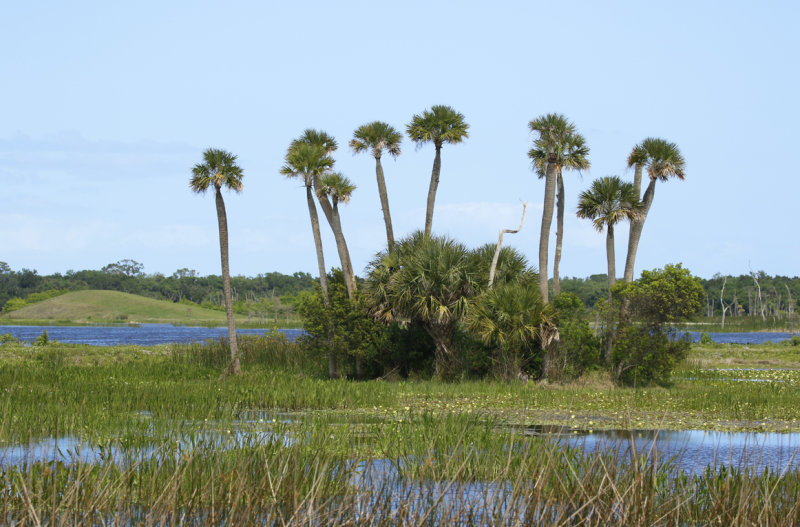 Florida - Orange - Orlando Wetlands Park