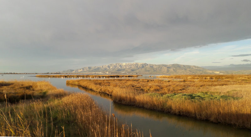 Catalunya - Ebro Delta