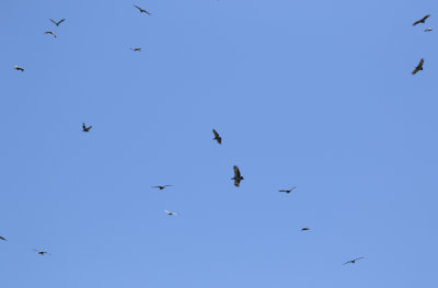 g12/24/1048224/3/169525471.YcJ2OcPx.jpg