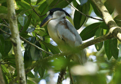 g12/24/1048224/3/170245413.TfhfQlD3.jpg