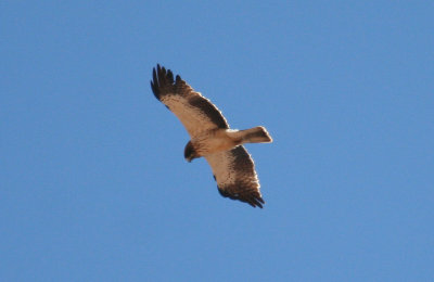 g12/24/1048224/3/171045841.J8CzPUtY.jpg
